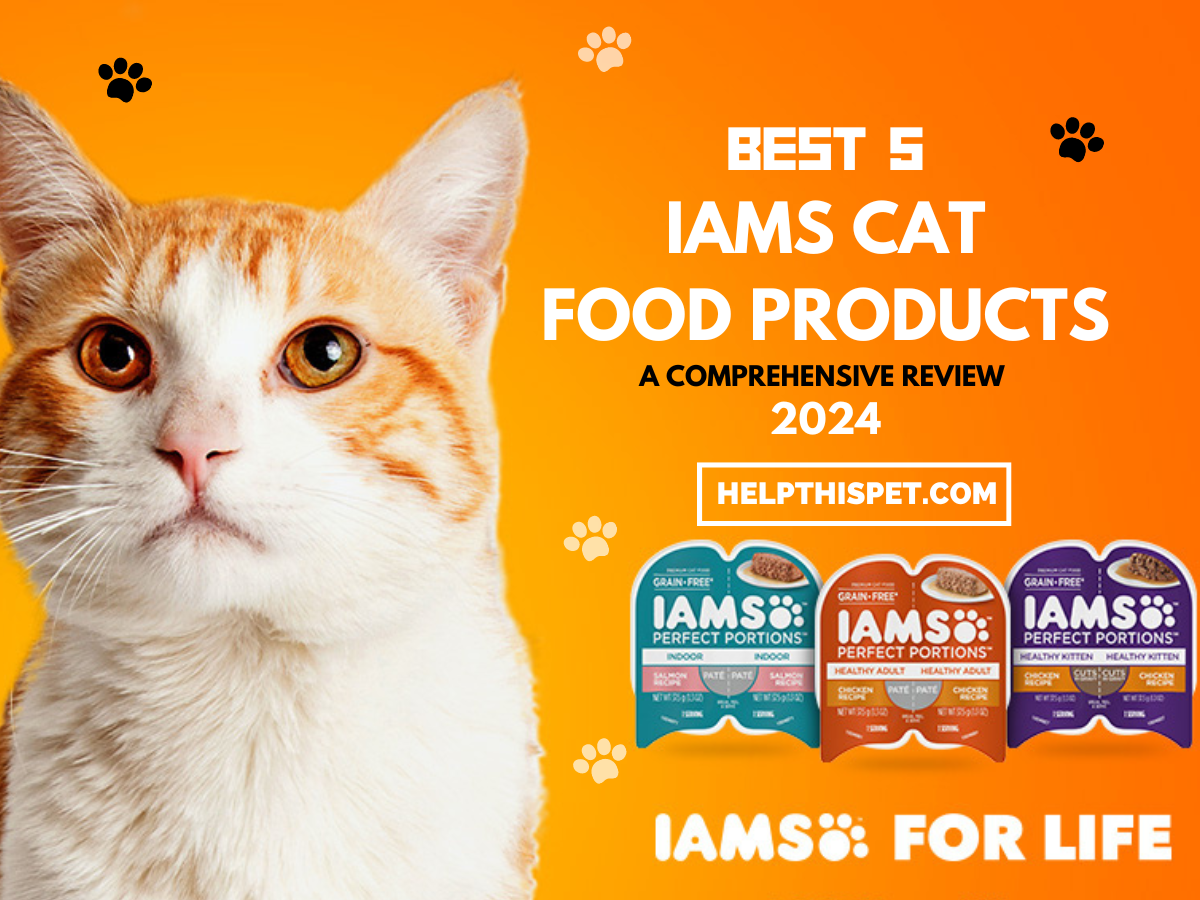 Best 5 IAMS Cat Food A Comprehensive Review 2024